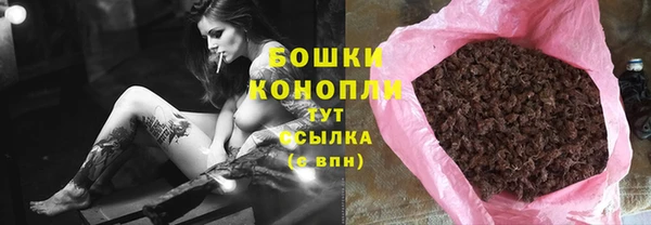 крисы Аркадак