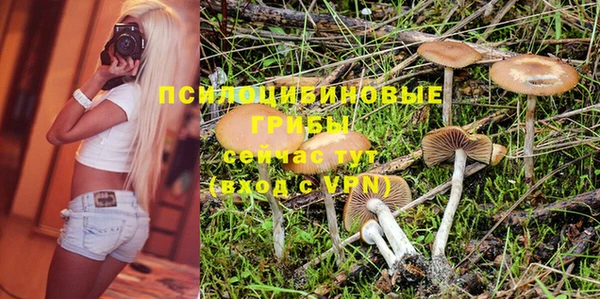 MESCALINE Арсеньев
