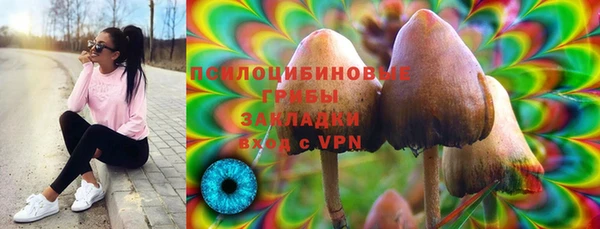 крисы Аркадак