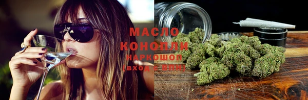крисы Аркадак